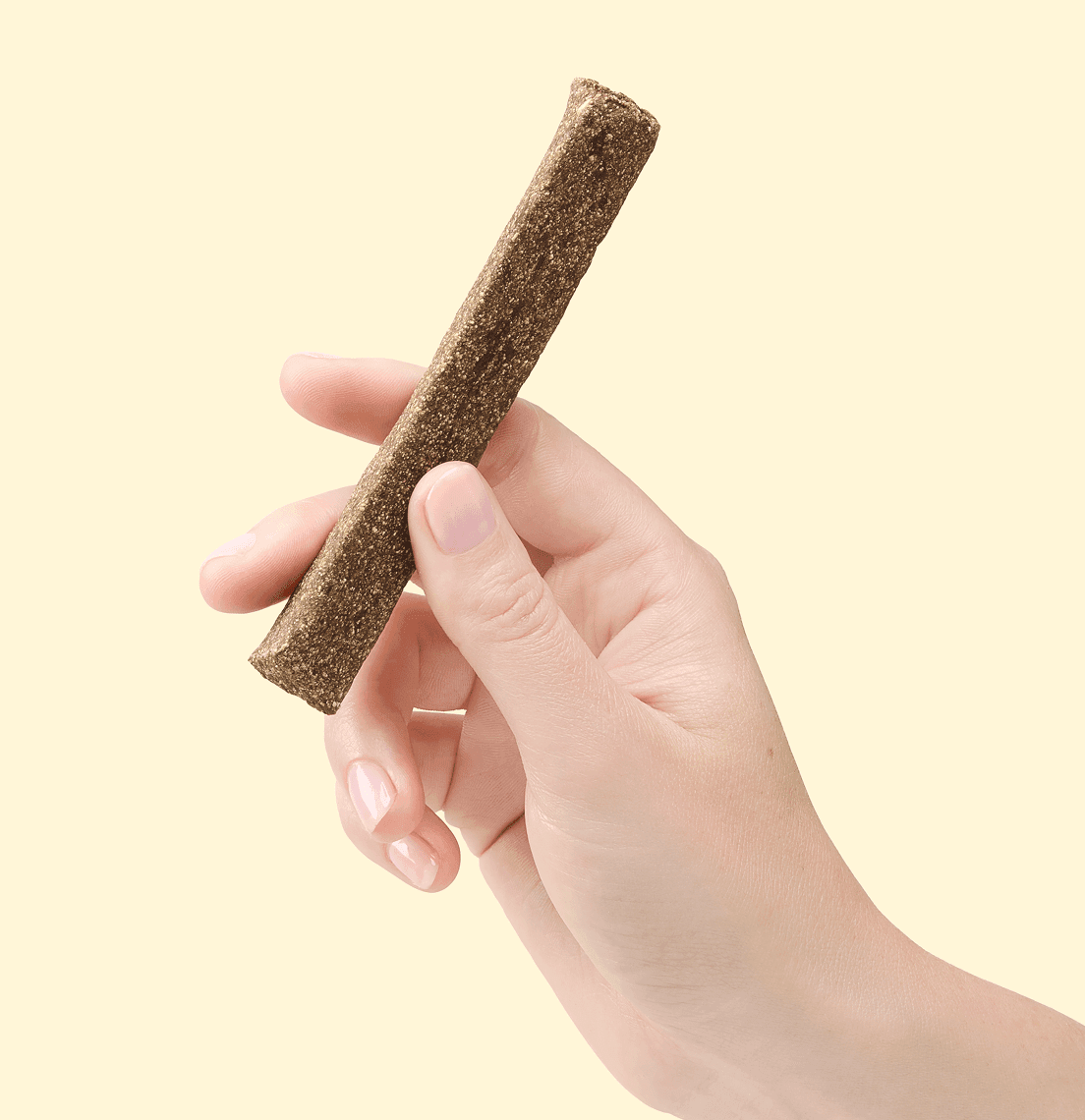 Close-up of a hand holding a brown, textured chew stick or pet treat against a pale background.