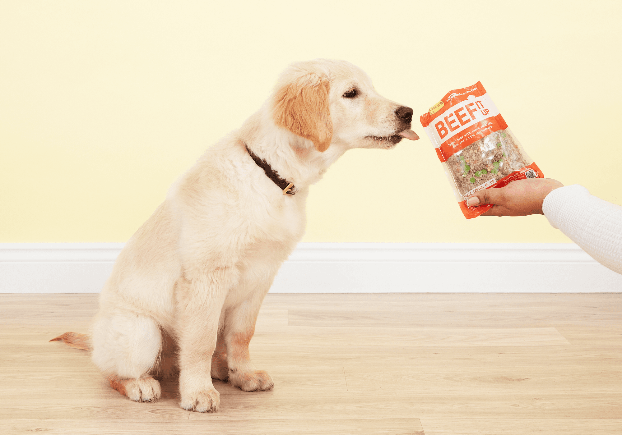 Golden Retriever puppy sitting on a wooden floor, eagerly looking at a person holding a pack of beef treats against a yellow background.